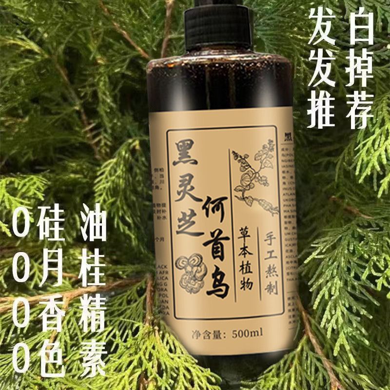แชมพูเหอโชวหวู่ แบล็ค กาโนเดอร - Hair Care Dandruff บทวิจารณ์และราคา